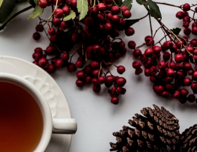 How to Throw the Best Holiday Tea Party