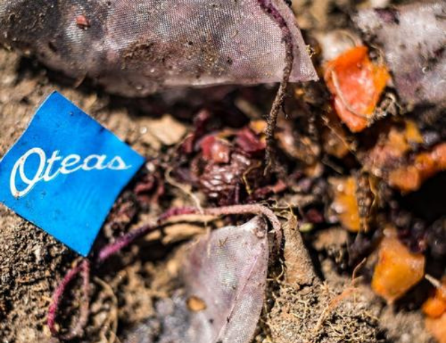Simple Tips for Effective Gardening To Give You The Best Results