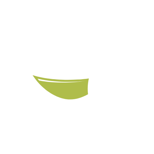 Oteas Matcha Tea